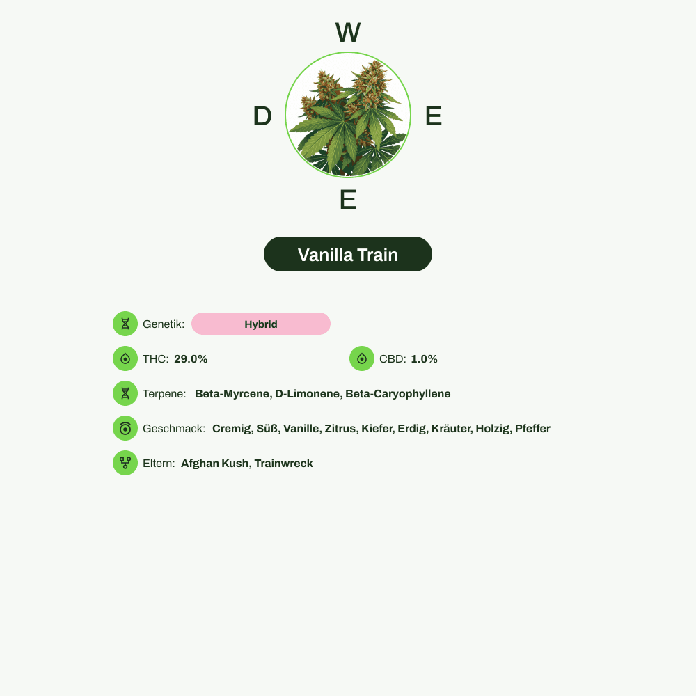 Infografik über THC-Gehalt, CBD-Gehalt, Terpene, Wirkungen, Geschmack von Vanilla Train