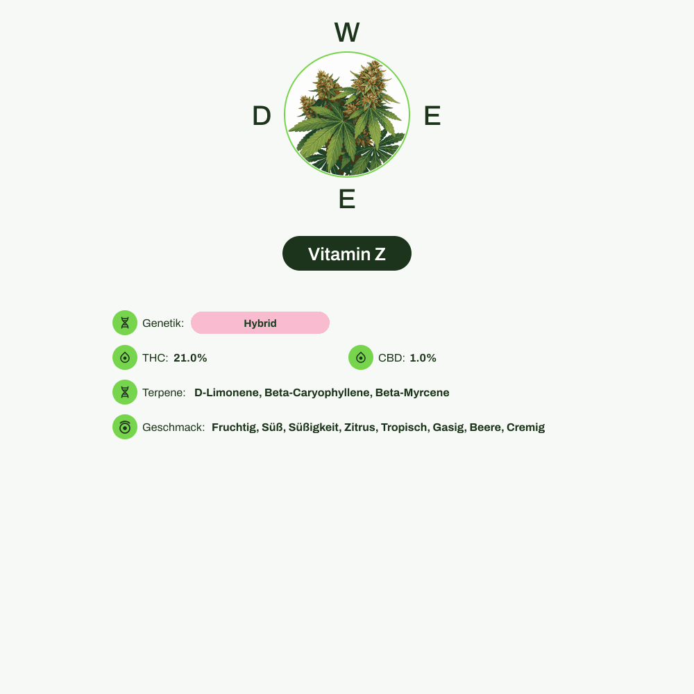 Infografik über THC-Gehalt, CBD-Gehalt, Terpene, Wirkungen, Geschmack von Vitamin Z