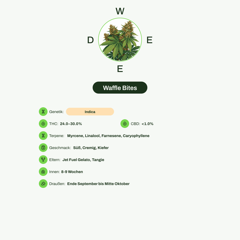 Infografik über THC-Gehalt, CBD-Gehalt, Terpene, Wirkungen, Geschmack von Waffle Bites