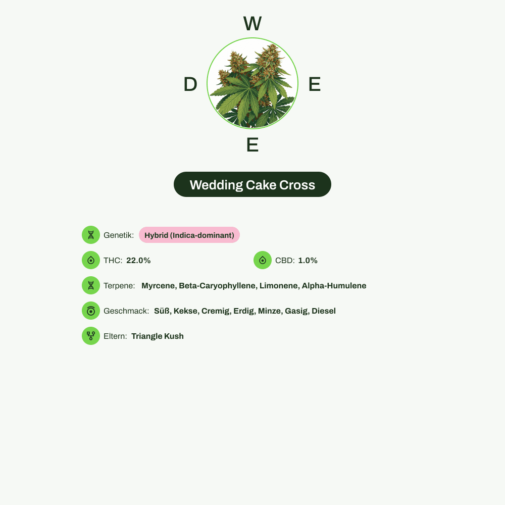 Infografik über THC-Gehalt, CBD-Gehalt, Terpene, Wirkungen, Geschmack von Wedding Cake Cross