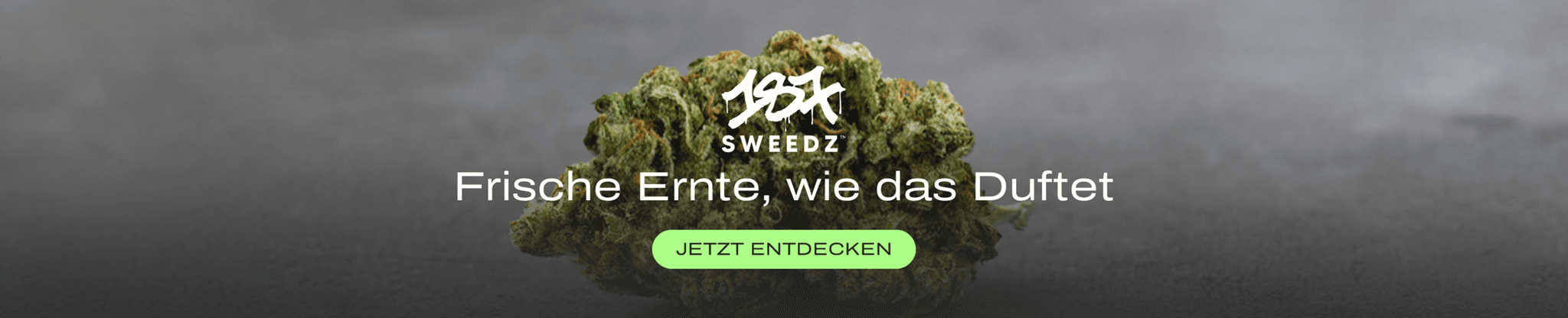 sweedz-campaign-flower