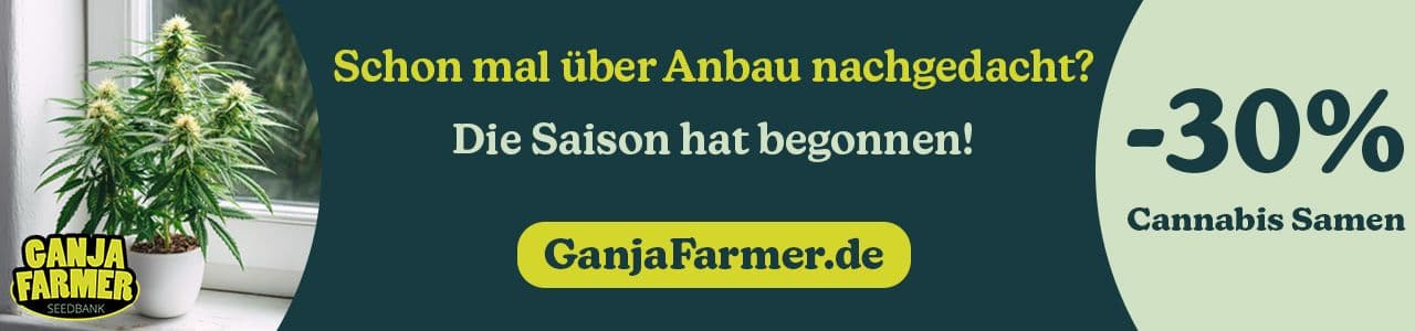 ganja farmer cannabis samen viel thc