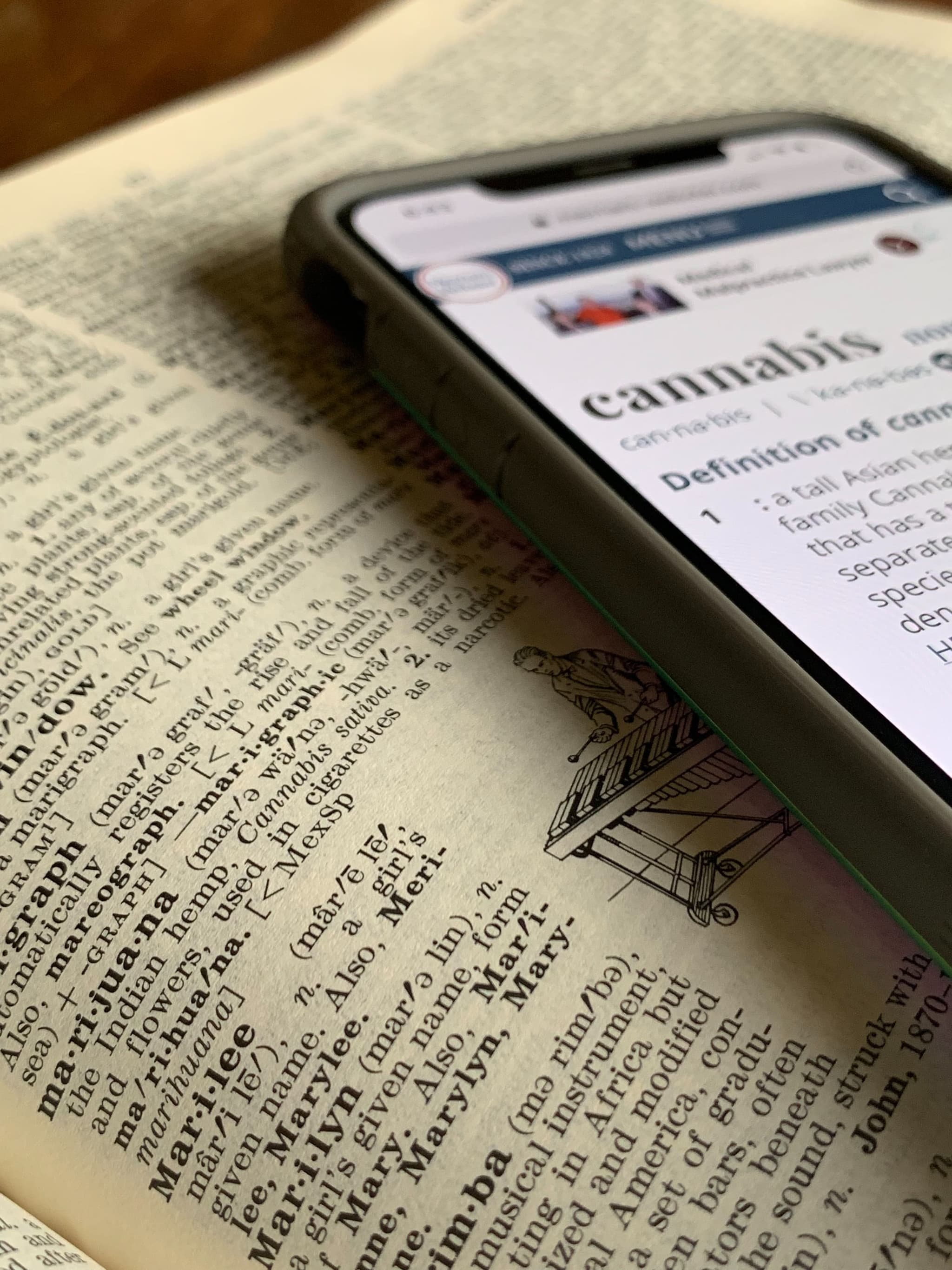 article