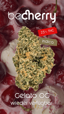 becherry gelato og indica