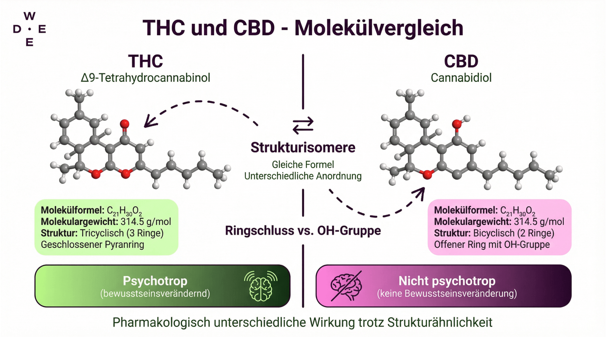 Molekulare Strukturunterschiede von THC und CBD