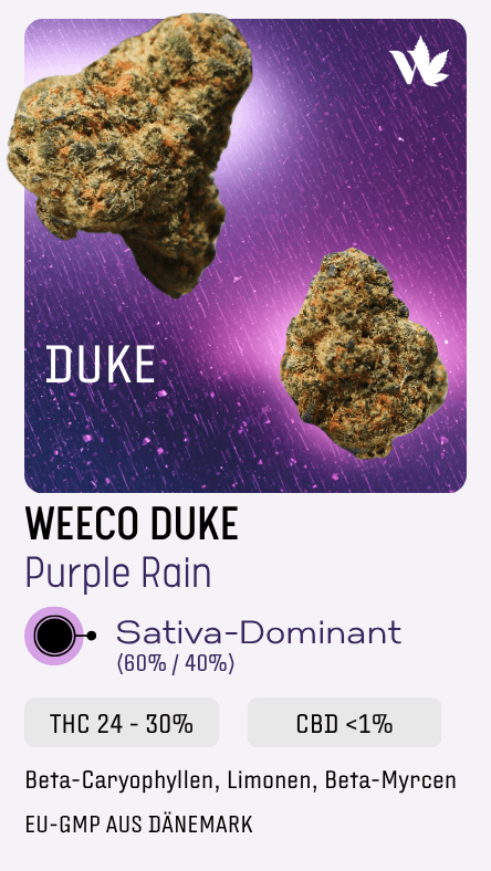 weeco duke purple rain sativa medizinisches cannabis