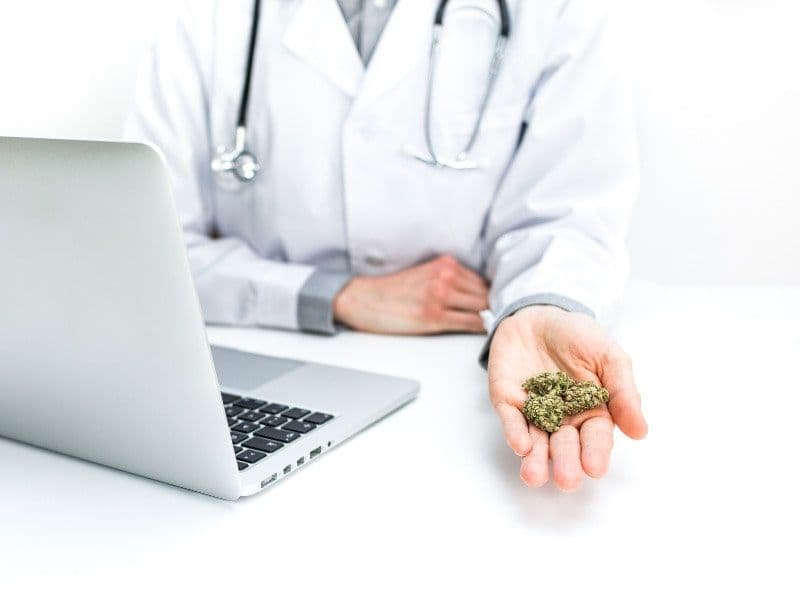 Arzt in weißem Kittel hält Cannabisblüten über weißem Schreibtisch neben Laptop