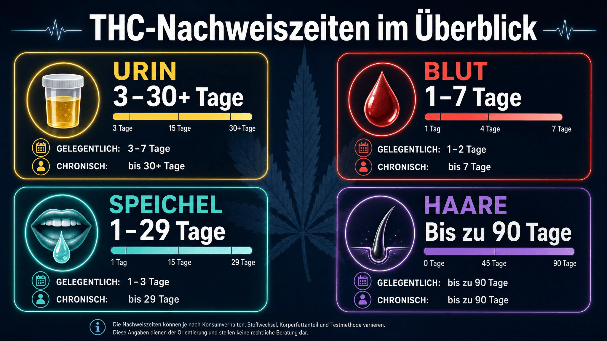 Infografik zu Nachweisbarkeit von Delta-9-THC in Blut, Urin, Haare, Speichel