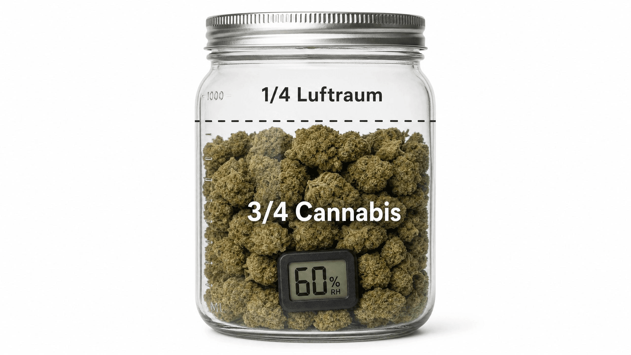 Einmachglas mit Cannabisblüten: oberes Viertel bleibt als Luftraum frei, untere drei Viertel mit Blüten gefüllt – optimale Füllmenge für das Curing mit Hygrometer bei 60 % RH