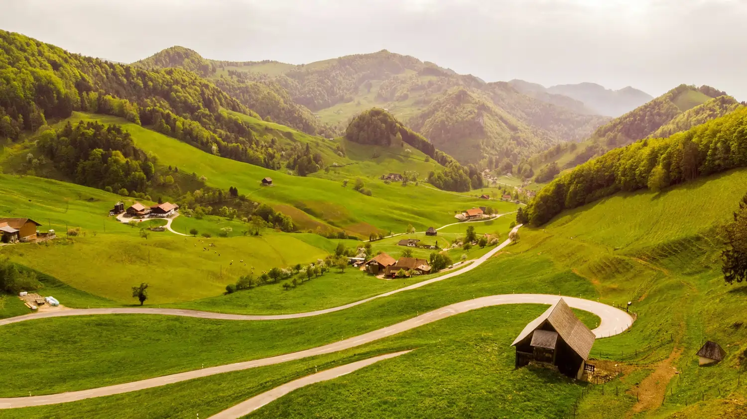 Wellige grüne Hügel mit Kurvenstraße, verstreuten Bauernhöfen und Bergwald im Hintergrund