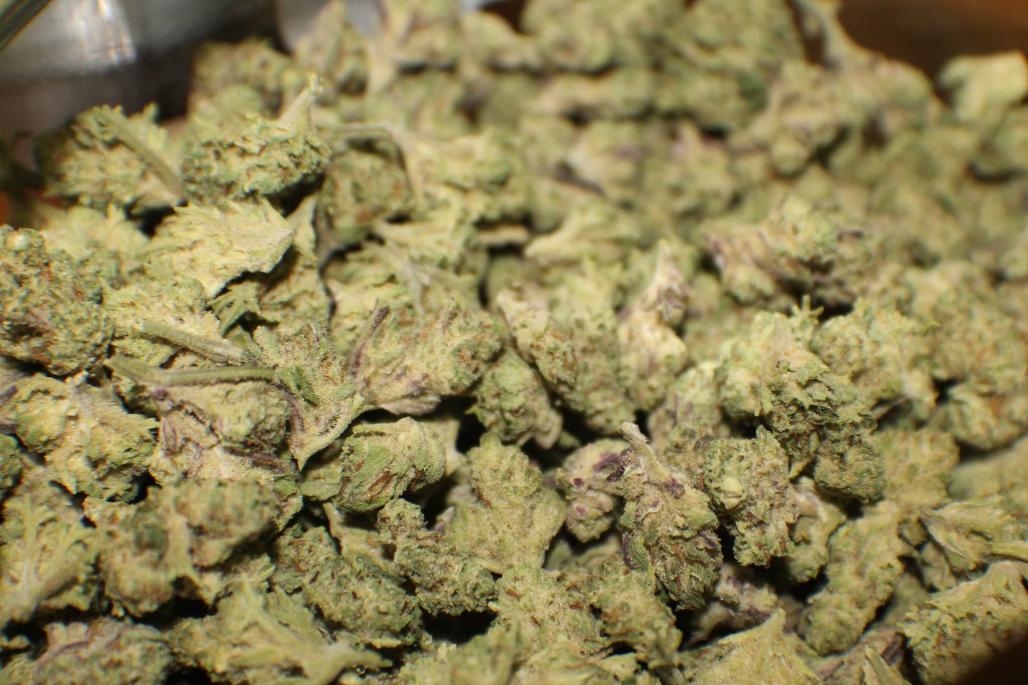 Dicht gepackte grüne Cannabisblüten mit sichtbaren Trichomen und Stängeln
