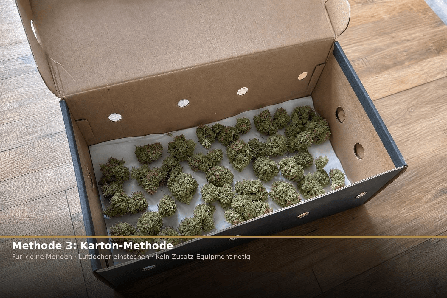 Offener Schuhkarton mit Luftlöchern an den Seiten und locker verteilten Cannabis-Blüten auf Papier – einfache Karton-Methode für kleine Mengen.
