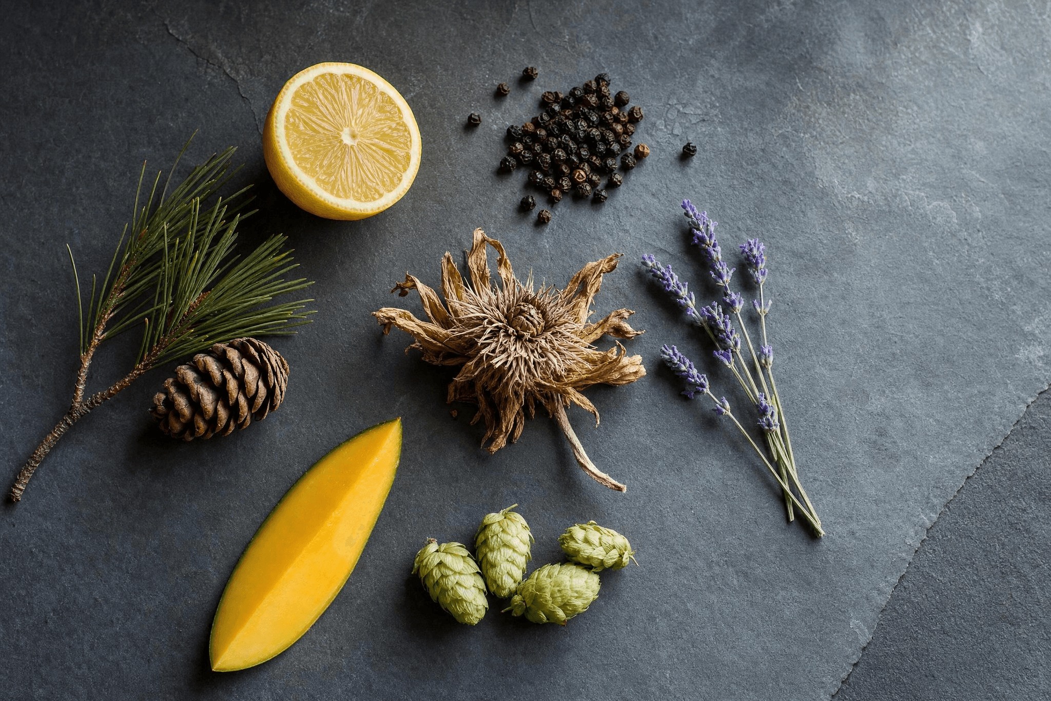 Die aromatischen Terpene bestimmen zum Teil je nach Vorkommen den Geschmack und Geruch von Pflanzen