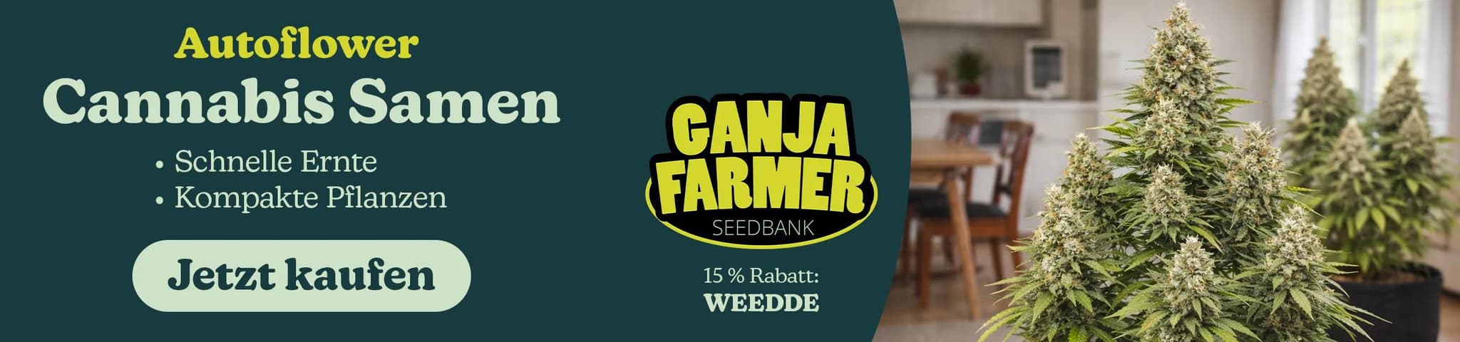 ganja farmer autoflower samen