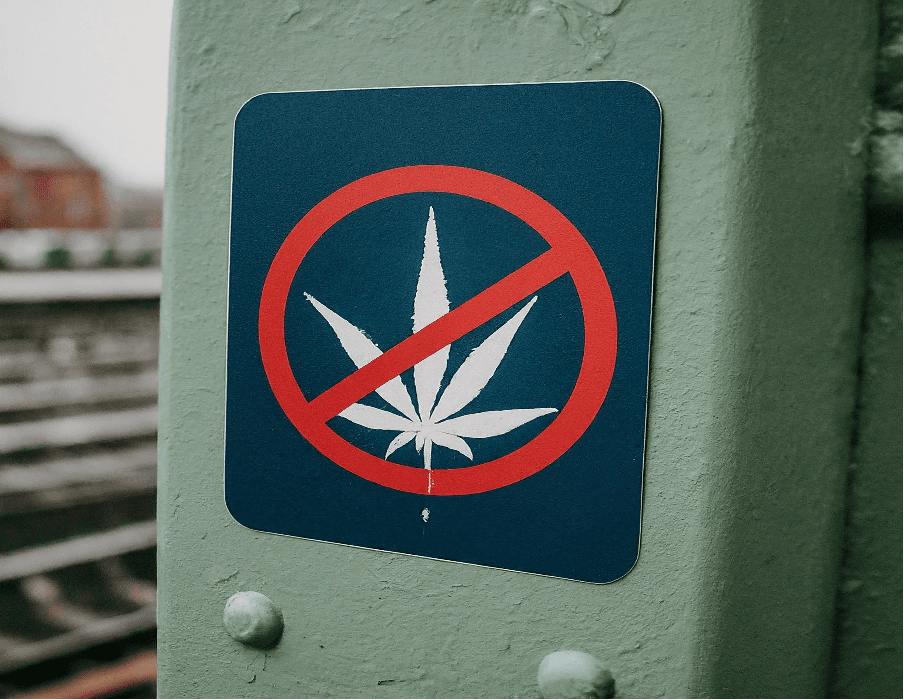 Durchgestrichenes Cannabisblatt auf blauem Schild an grünem Metallpfeiler
