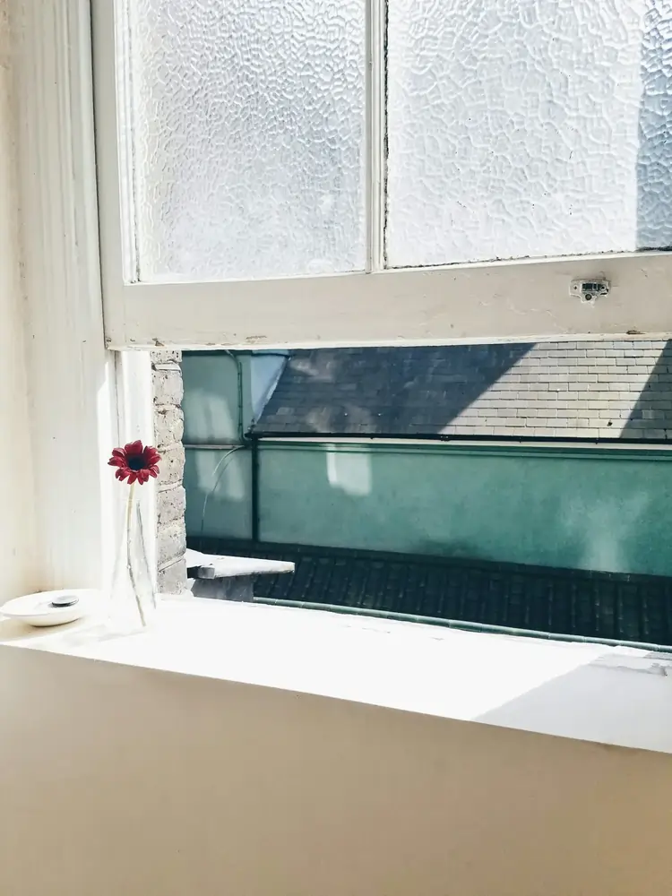 Offenes Fenster mit roter Blüte in schlanker Glasvase auf heller Fensterbank