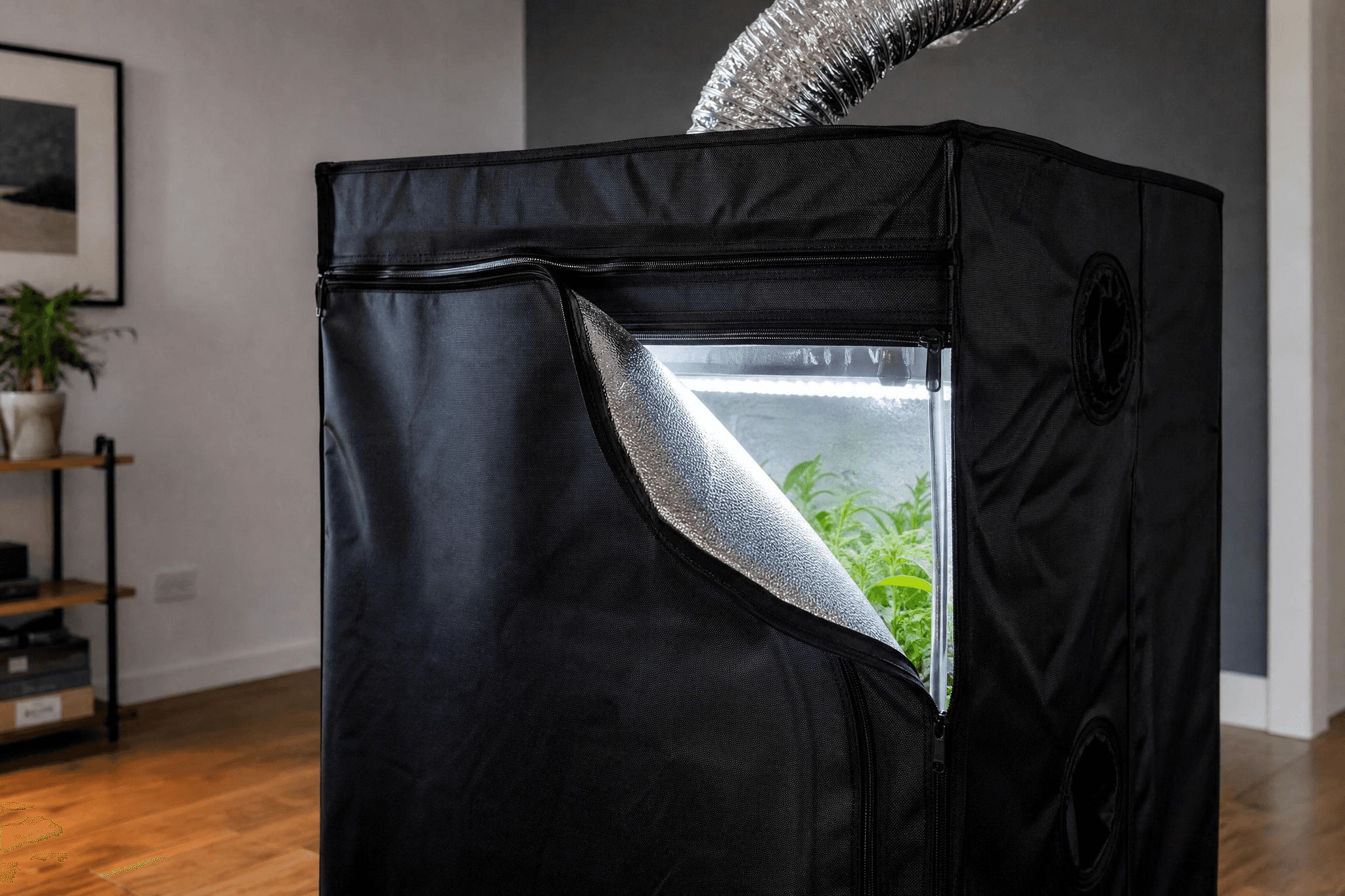Kompaktes schwarzes Growzelt in einer modernen Wohnung mit geöffnetem Reißverschluss – sichtbares LED-Licht im Inneren und Abluftschlauch oben