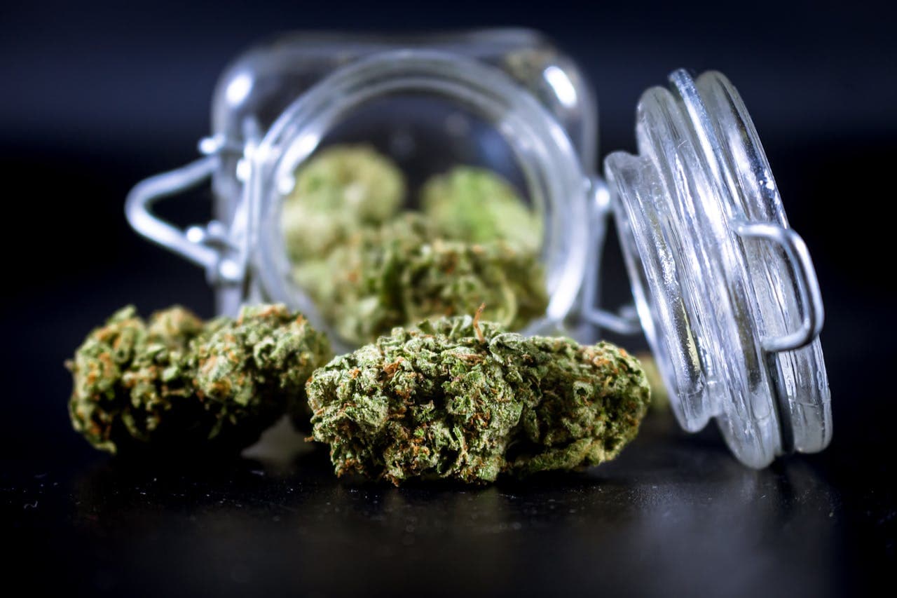 Cannabis-Blüten vor offenem Glasbehälter auf dunklem Untergrund