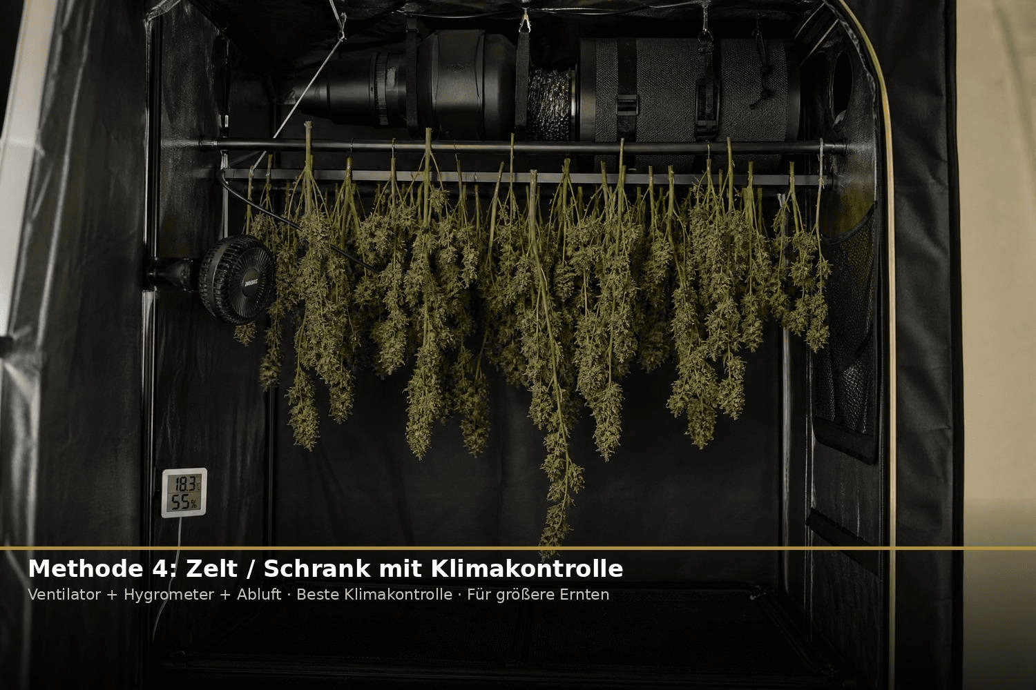 Innenseite eines Growzelts mit hängenden Cannabis-Ästen, Clip-Ventilator, Abluftfilter und digitalem Hygrometer – Klimakontrolle für größere Ernten.