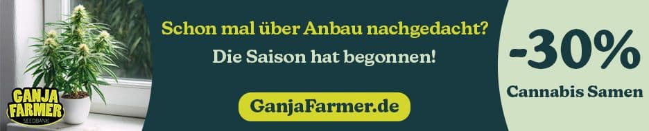 Cannabis samen ganja farmer breeder