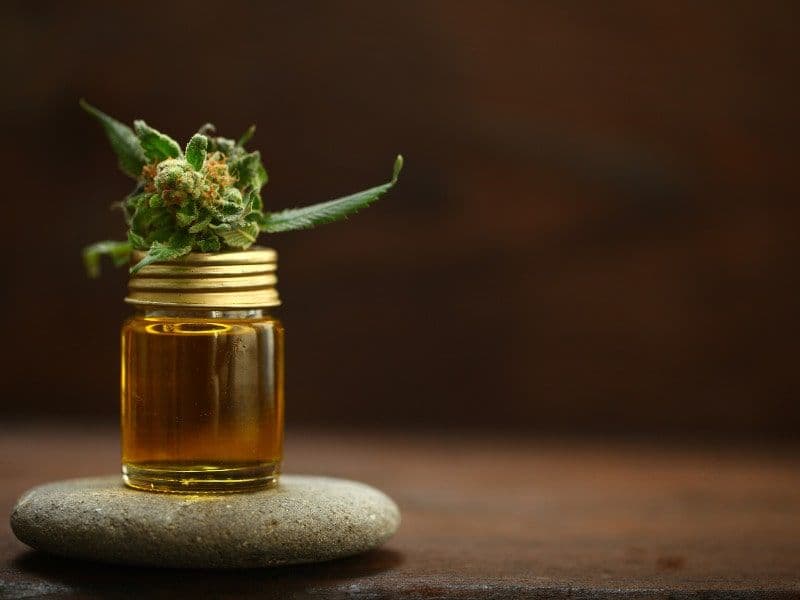 Glasfläschchen mit goldenem Cannabisöl und Blüte auf rundem Stein