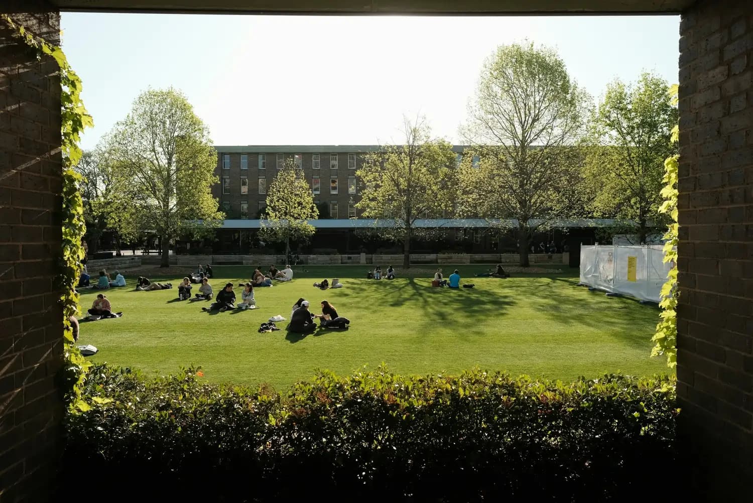 Grüne Campuswiese, Studierende sitzen in Gruppen vor Bäumen und Backsteingebäude