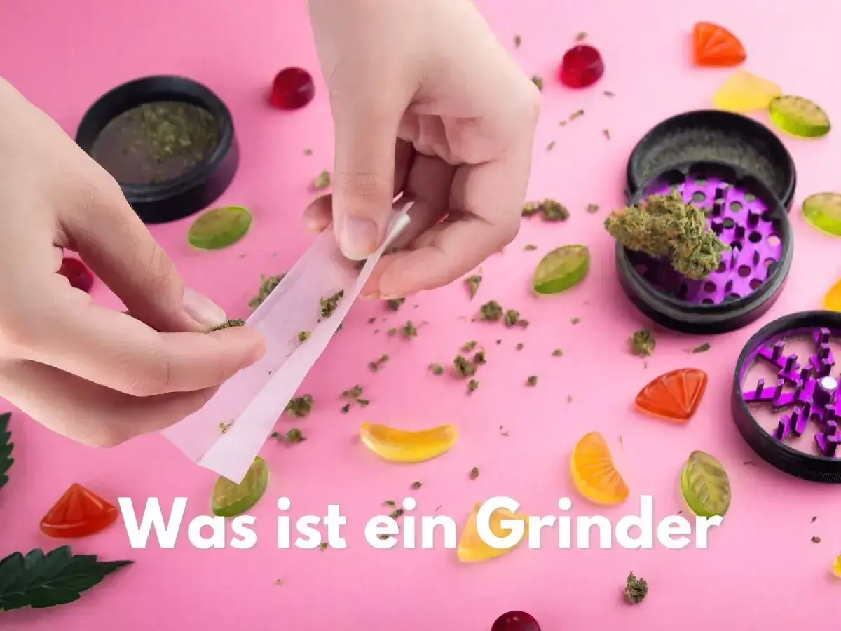 Hände rollen Joint neben violettem Grinder und Gummibärchen auf rosa Untergrund