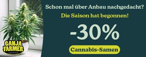 ganja farmer thc reiches cannabis