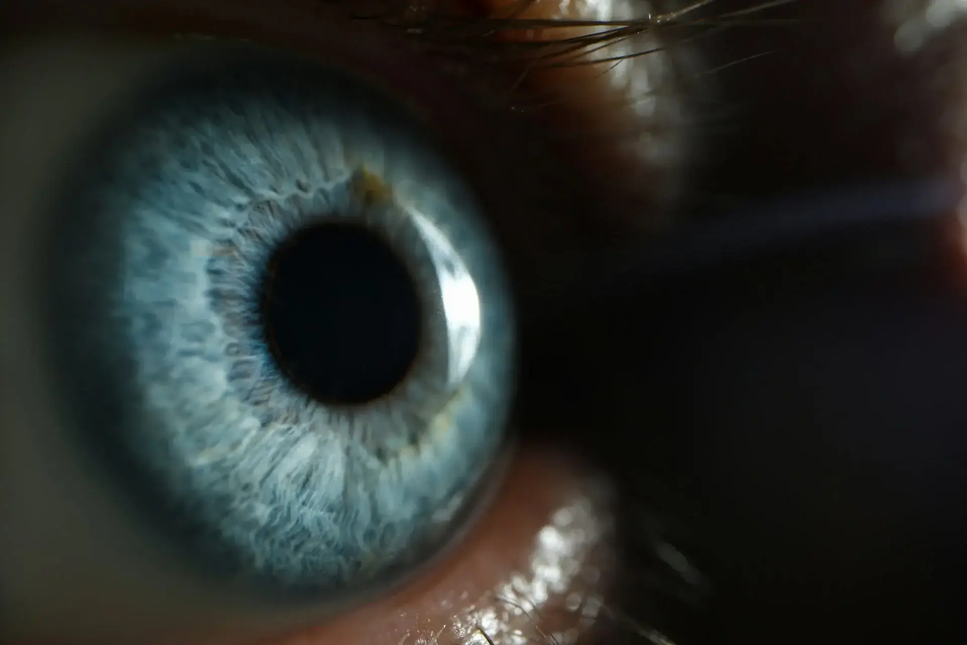extreme Nahaufnahme einer blauen Iris mit schwarzer Pupille und Wimpern