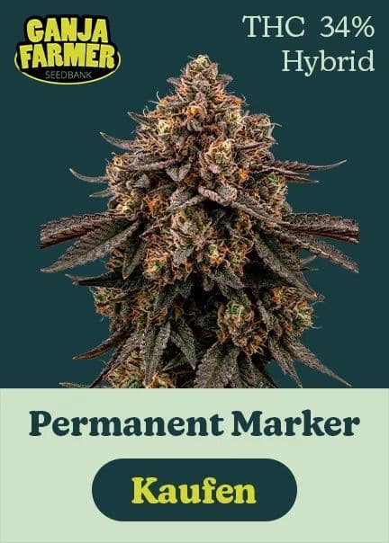 Ganja farmer permanent marker thc 34