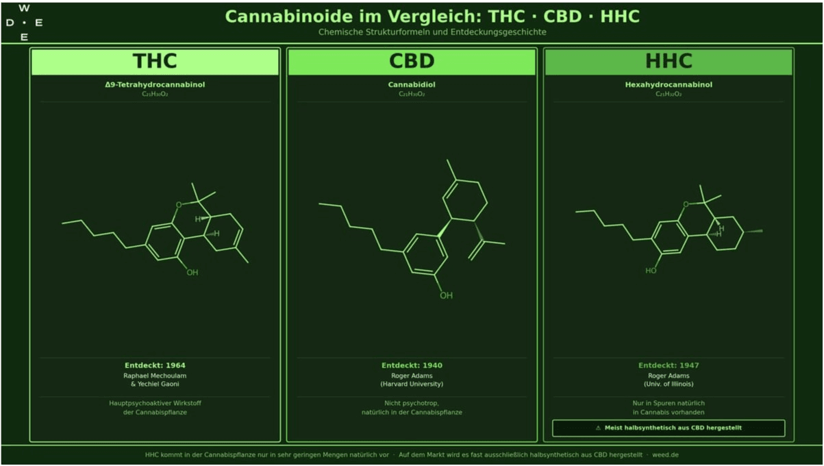 Infografik zu den Cannabinoiden THC, CBD und HHC im Vergleich
