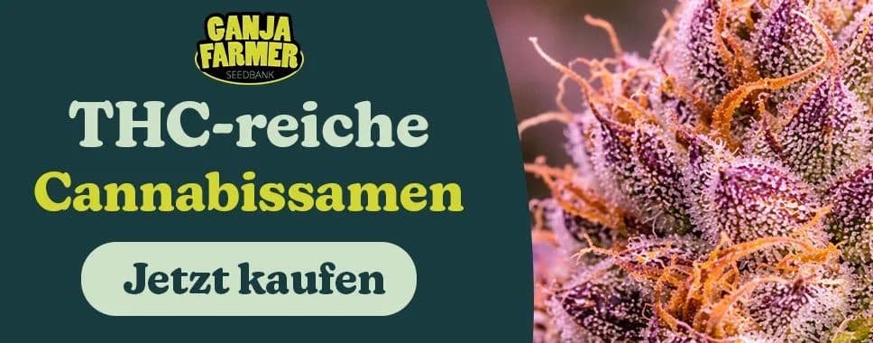 ganja farmer thc reiches cannabis
