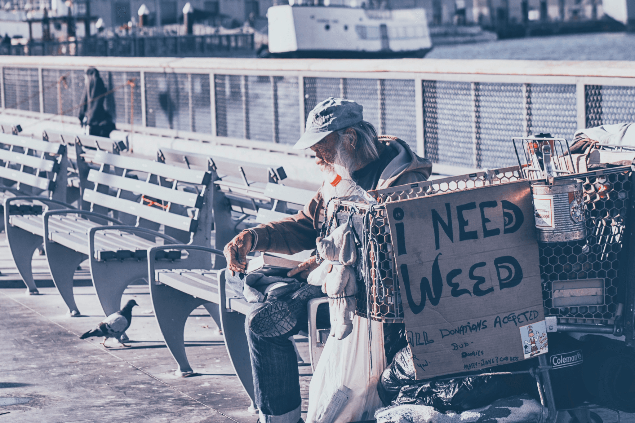 Mann sitzt auf einer Bank an einer Uferpromenade neben einem Einkaufswagen mit dem handgeschriebenen Schild 'NEED WEED'