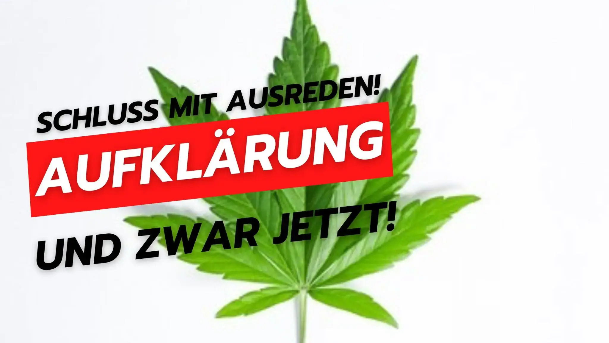 Grünes Hanfblatt mit rotem Banner und schwarzer Schrift auf weißem Hintergrund