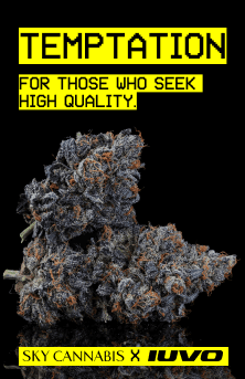 skycannabis apotheke x iuvo cannabis