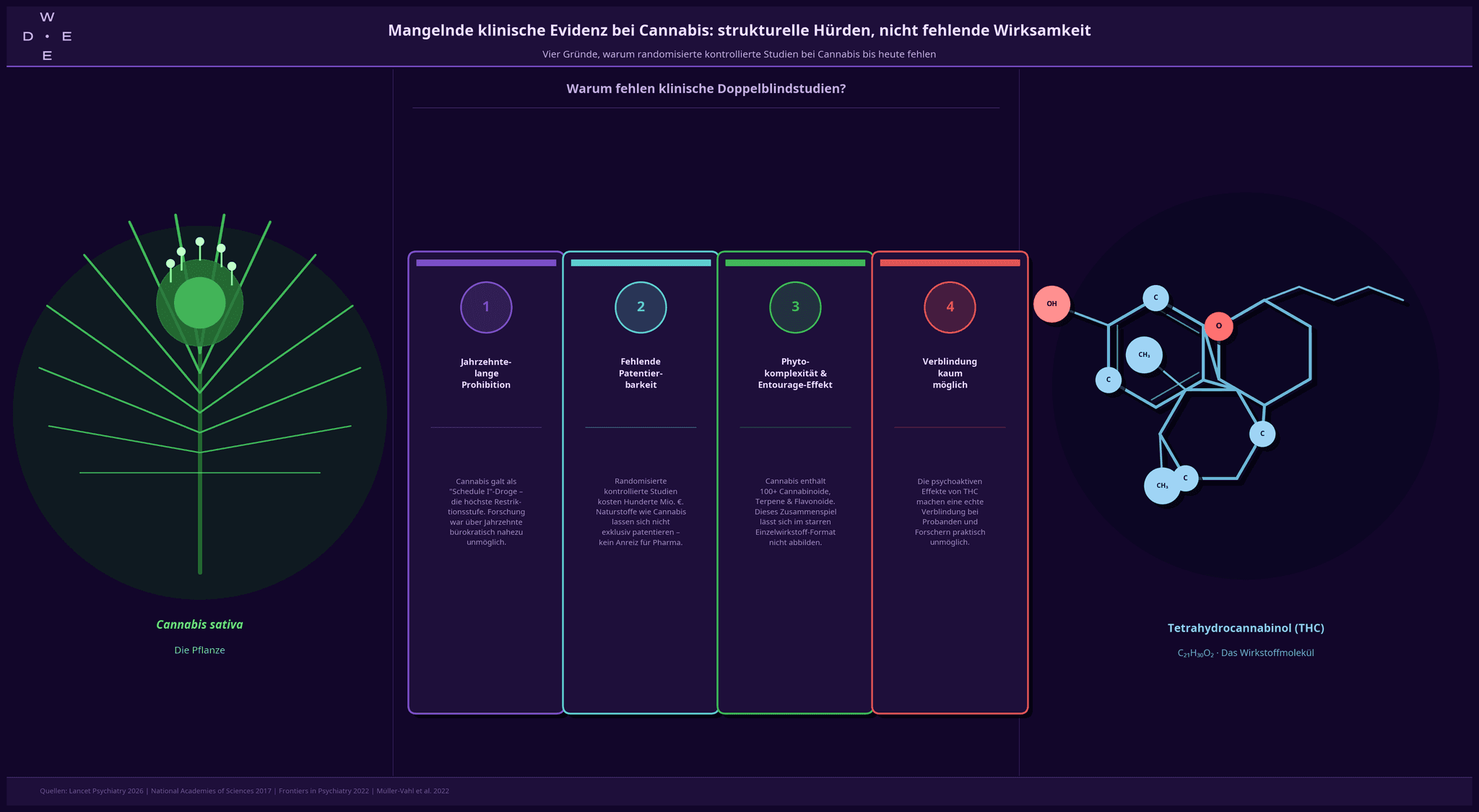 Infografik zu den vier strukturellen Gründen, warum klinische Doppelblindstudien bei Cannabis fehlen: jahrzehntelange Prohibition, fehlende Patentierbarkeit, Phytokomplexität und das Verblindungsproblem durch THC.