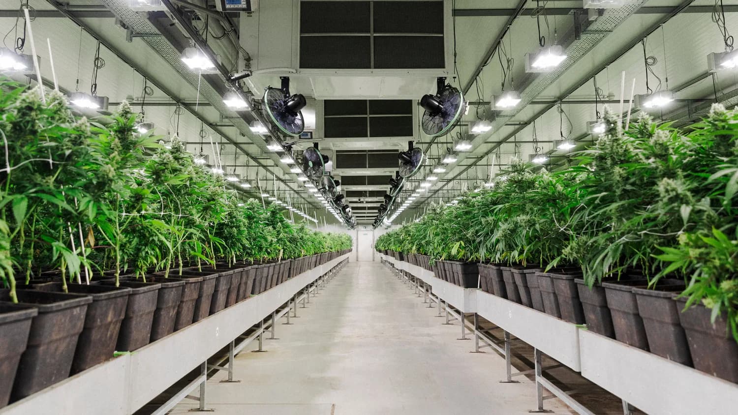 QUALITÄTSMERKMALE QUALITÄTSMERKMALE