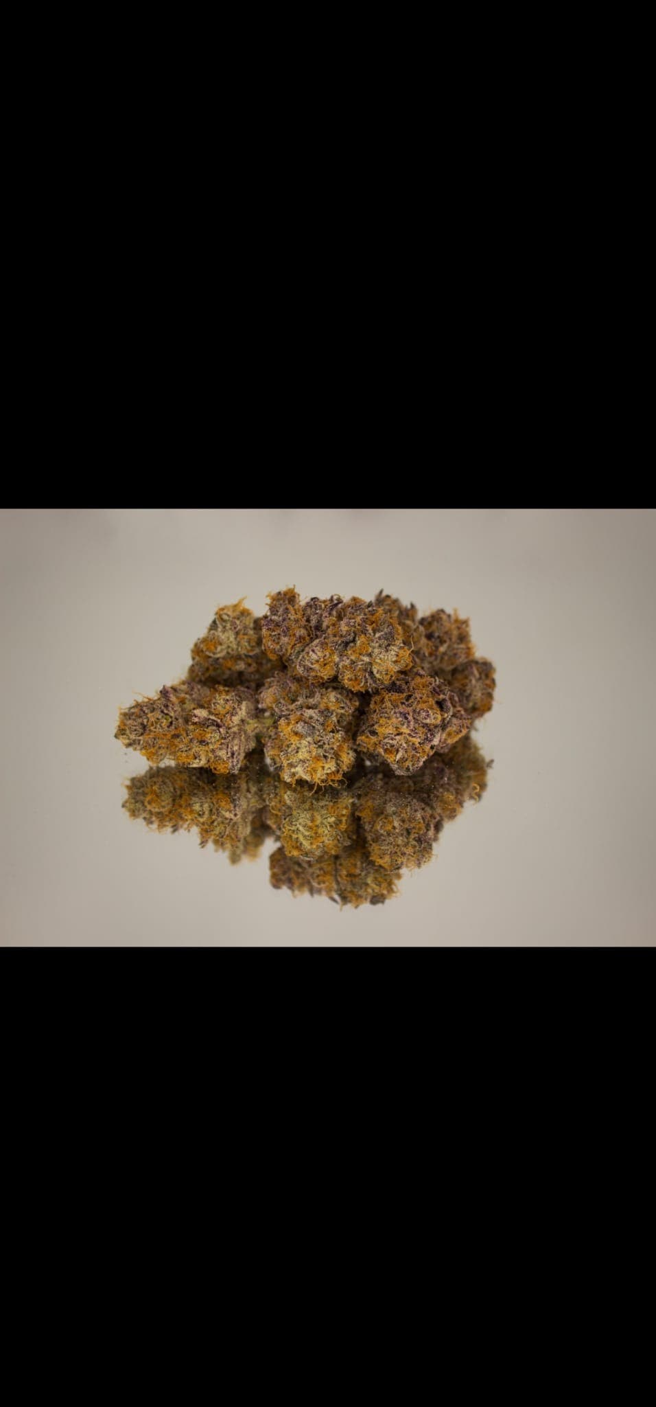 Kultivar BLACK AMBER Kultivar BLACK AMBER