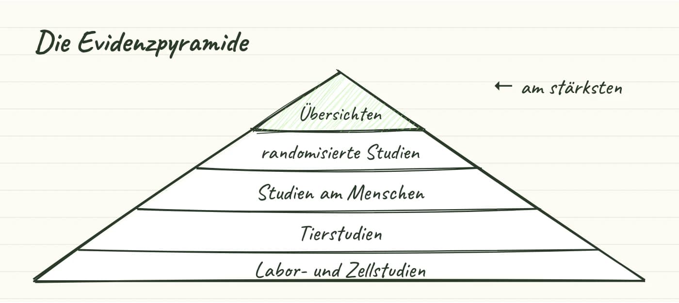 Handgezeichnete Evidenzpyramide: unten Labor- und Zellstudien, darüber Tierstudien, Studien am Menschen, randomisierte Studien, oben Übersichtsarbeiten.