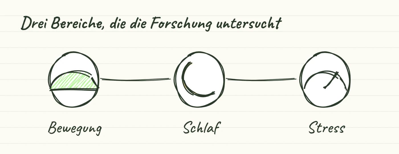 Handgezeichnete Symbole: ein Laufschuh für Bewegung, ein Mond für Schlaf, ein Druckmesser für Stress, jeweils mit dem ECS in der Mitte verbunden.