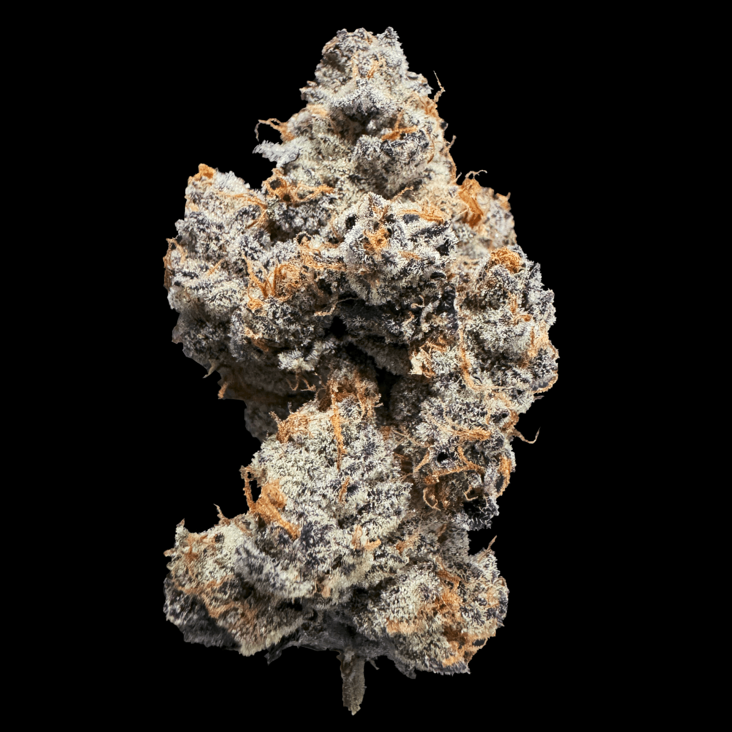 Med. Cannabis