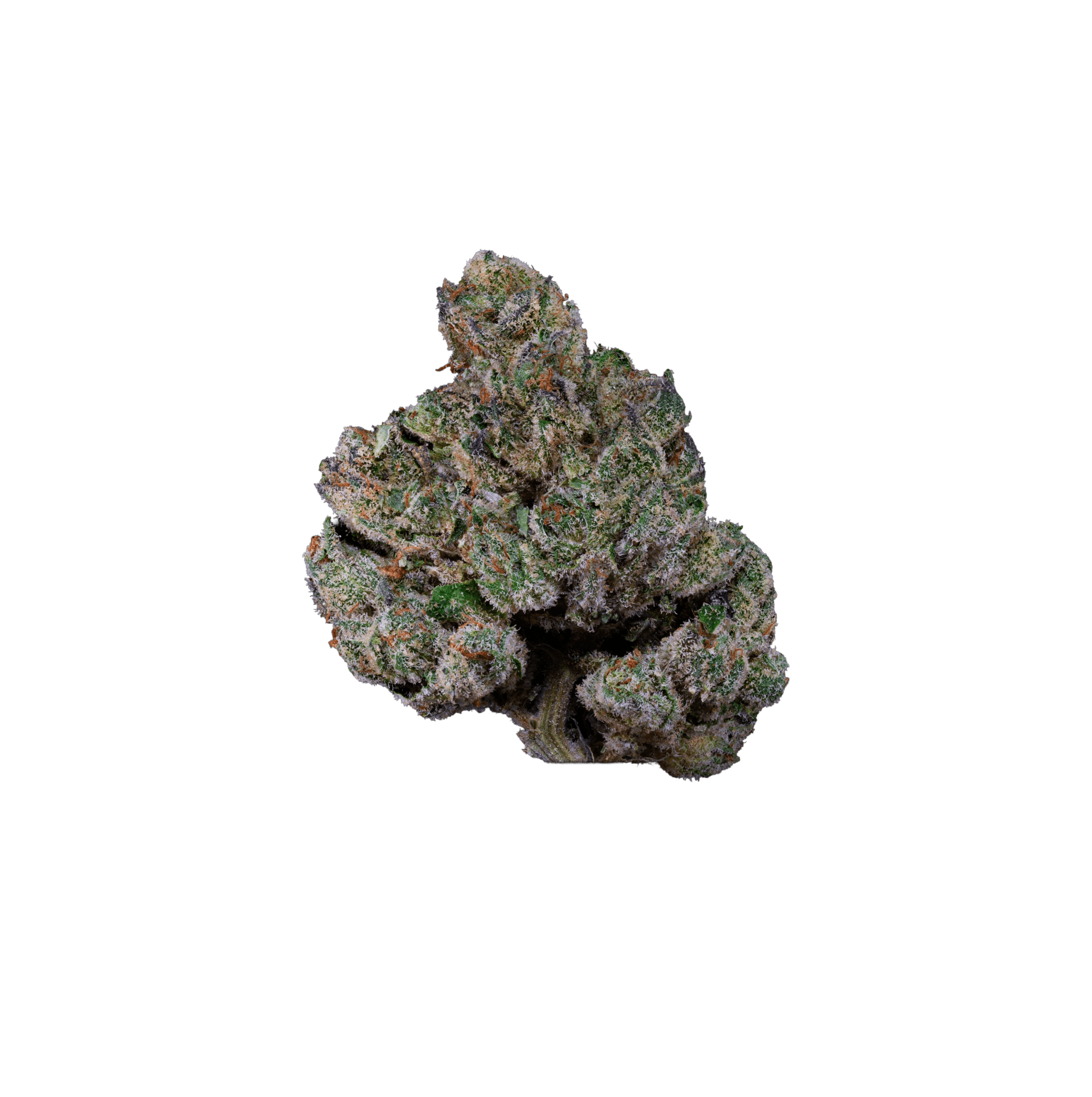 Med. Cannabis