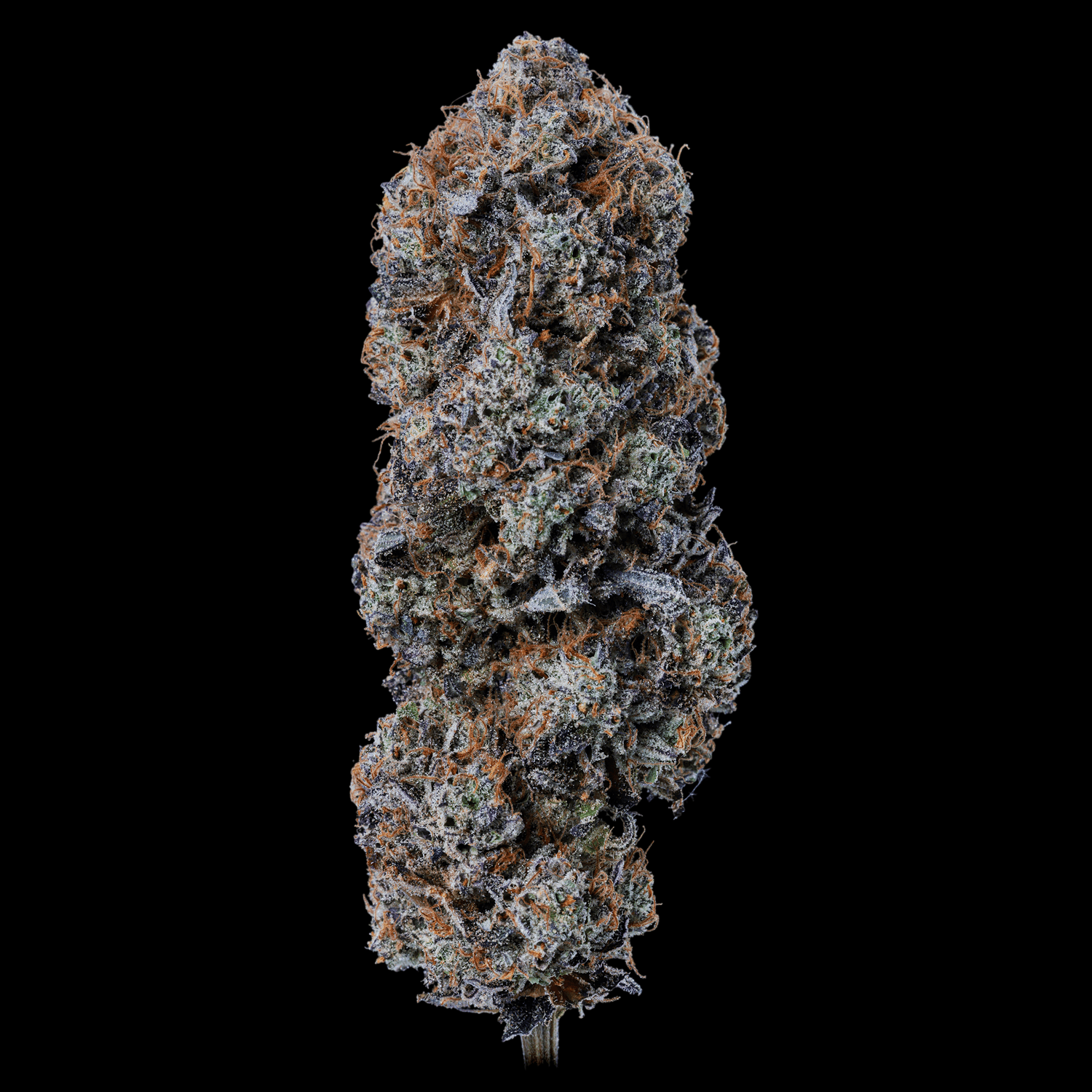 Med. Cannabis