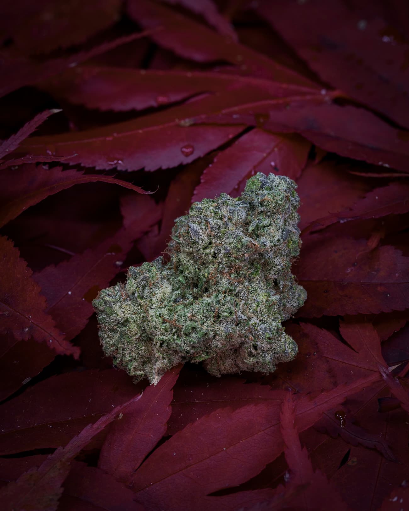Med. Cannabis
