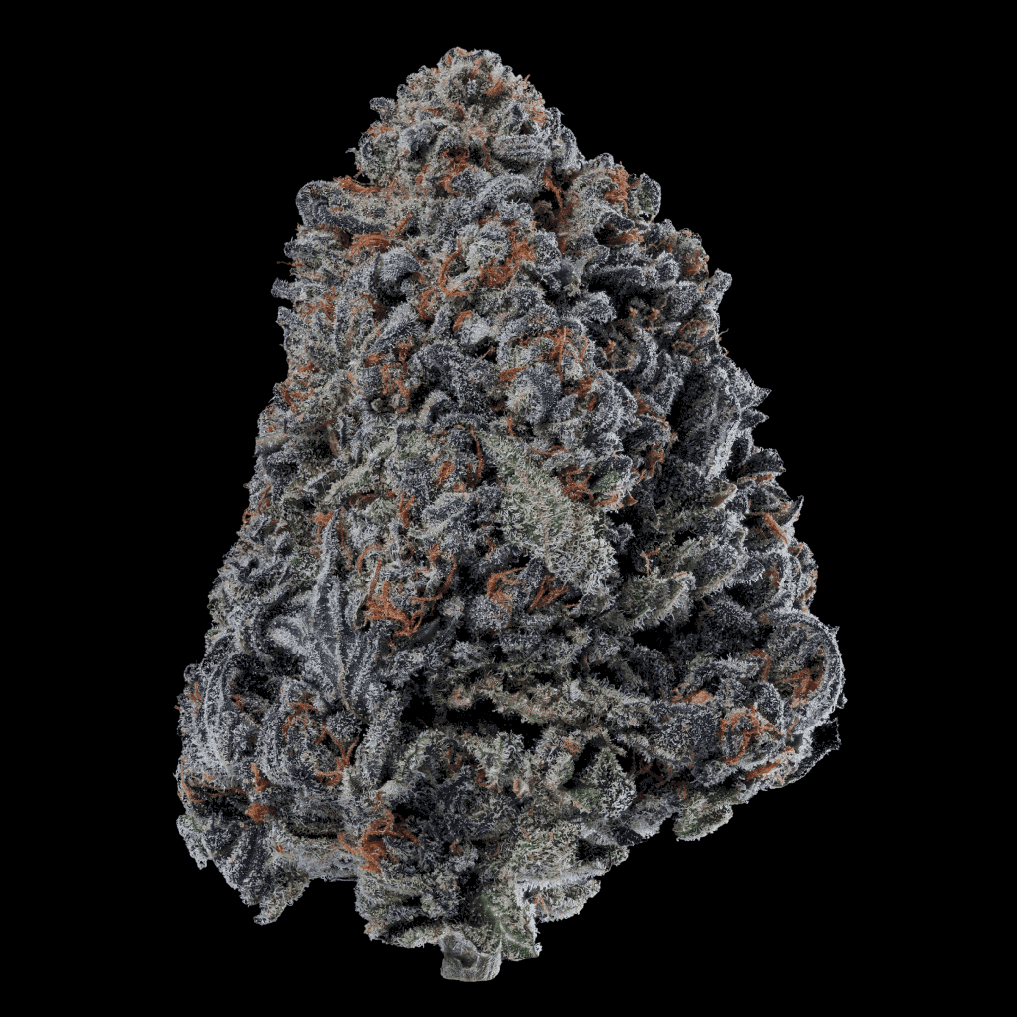 Med. Cannabis