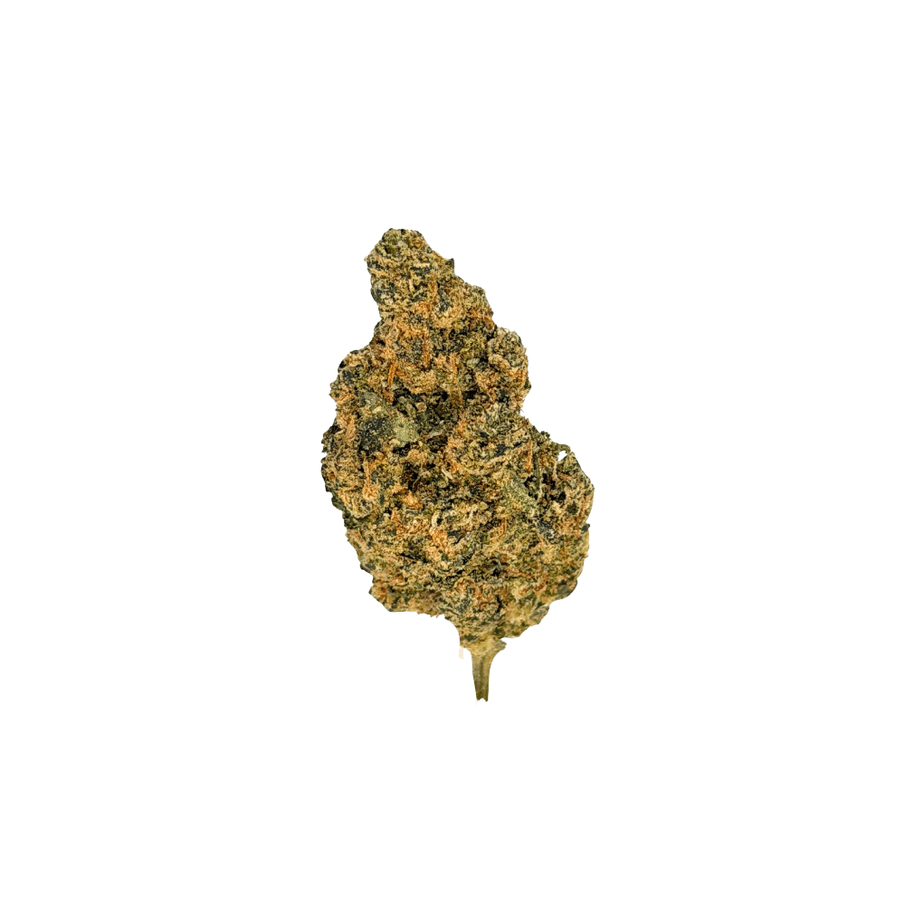 SHÜSH 27/1 SMO