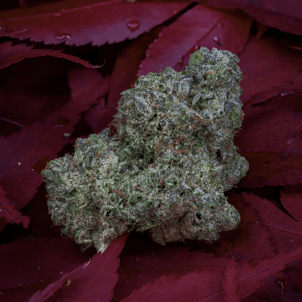 Med. Cannabis