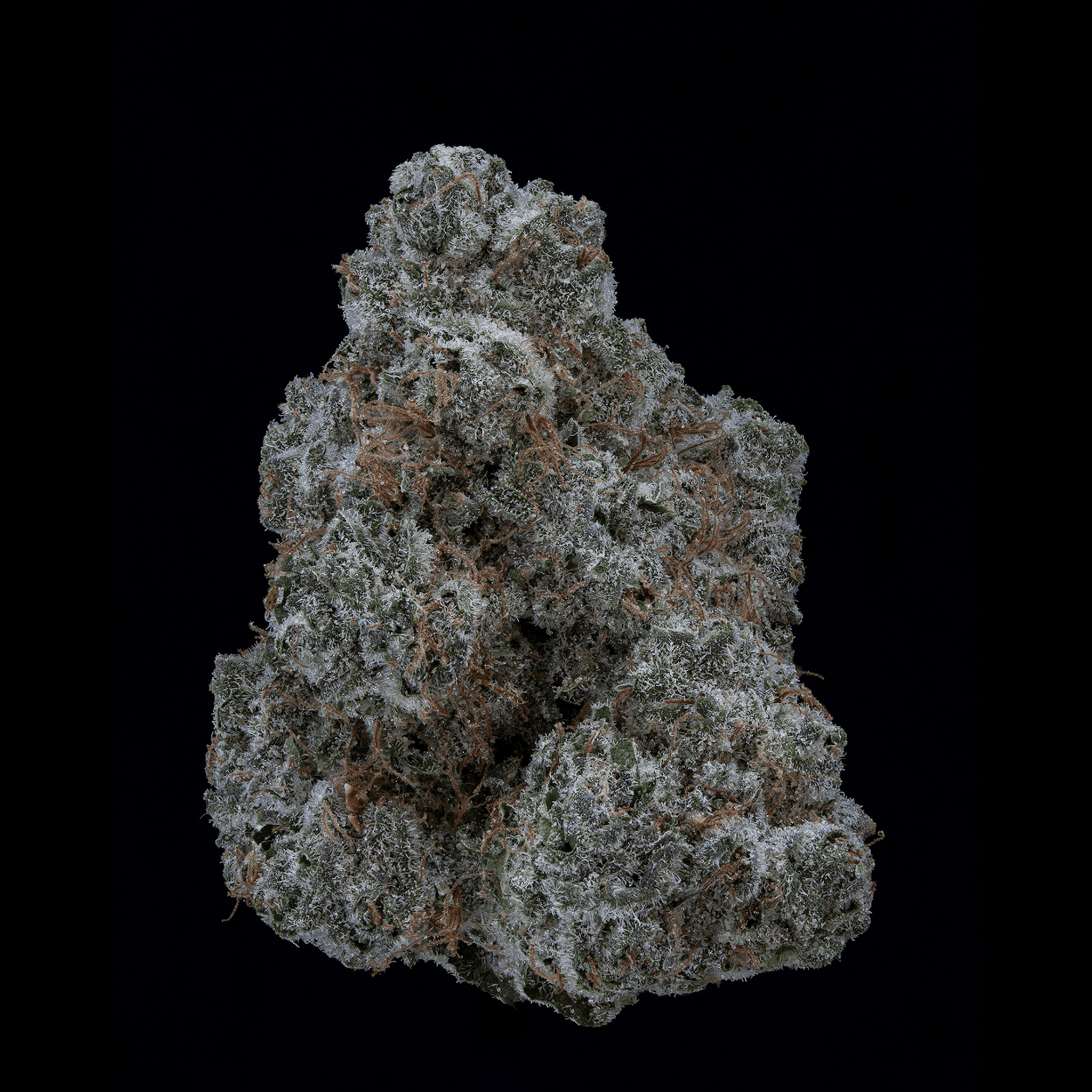 Med. Cannabis