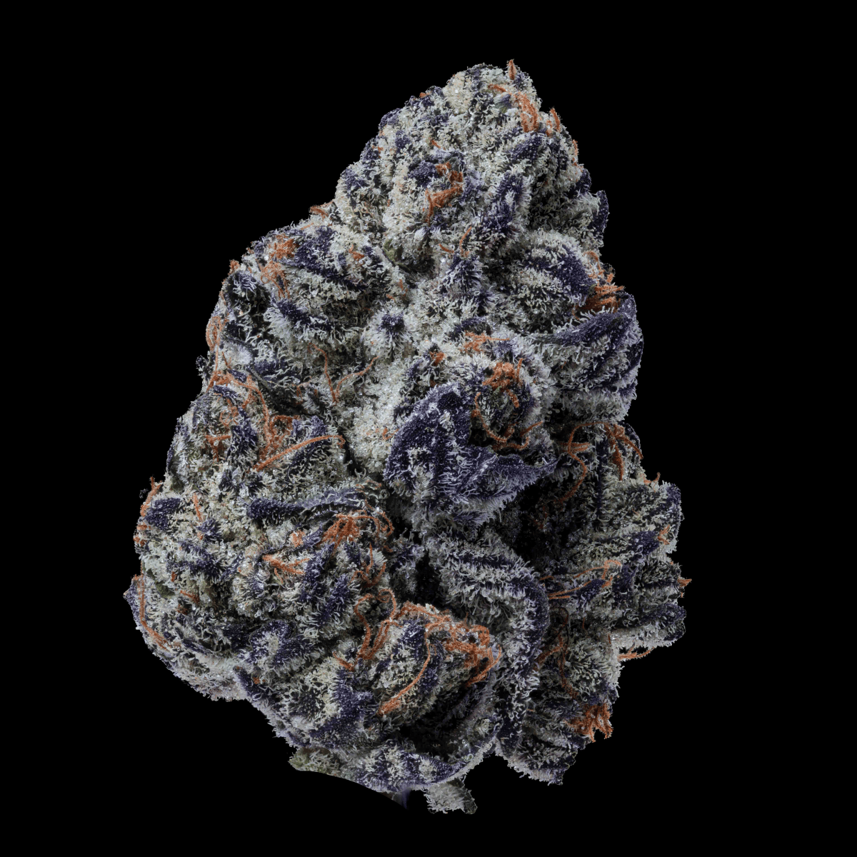 28/1 IUVO OC Killer Cupcake