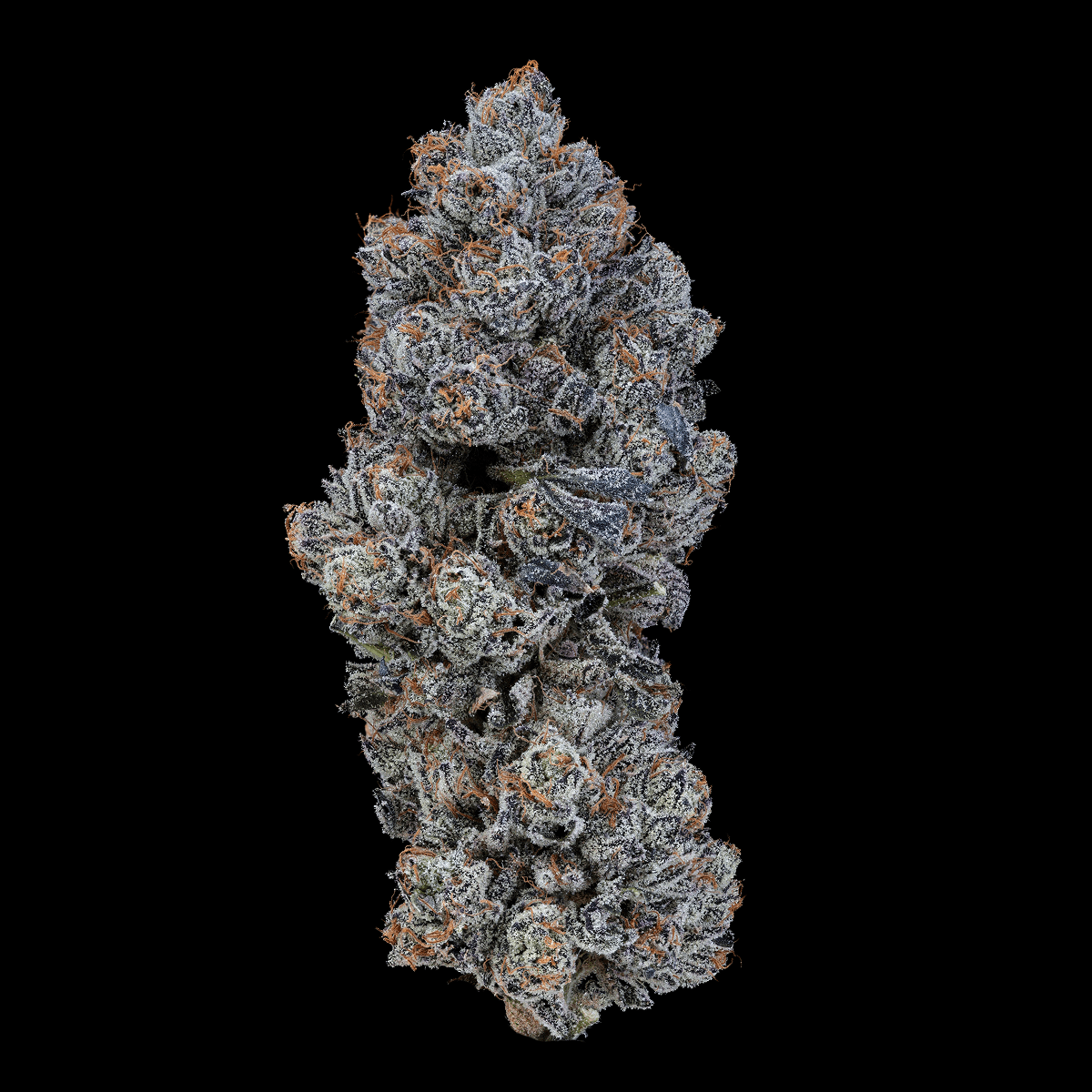 Med. Cannabis